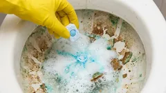 O vaso sanitário ficará livre de cálculos urinários em uma hora: um método rápido com pastilhas para lava-louças