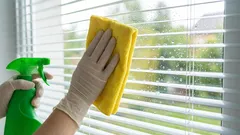 O que usar para limpar os vidros, para não ter de os lavar depois de cada chuva: um método com produtos que já tem em casa