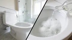 Como limpar o vaso sanitário de cálculos urinários: alguns remédios caseiros simples podem ajudar