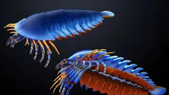 Um fóssil descoberto no estado do Utah antecipa o aparecimento dos quelícios — os dentes característicos das aranhas e dos escorpiões — em 20 milhões de anos.