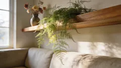 As 7 plantas de interior que crescem mais rapidamente