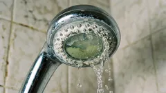 Como limpar o chuveiro das bactérias: um método simples com um saco plástico e um produto doméstico