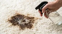As manchas e marcas no tapete desaparecerão sem deixar vestígios: uma maneira fácil sem lavagem a seco