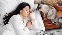 O seu gato acorda-o durante a noite? 4 passos para acabar com os miados noturnos sem stress