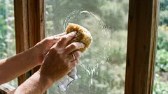 A rede mosquiteira ficará como nova em 10 minutos: uma maneira simples de a limpar rapidamente com o que tiver à mão