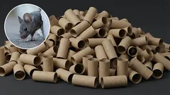  Como se livrar dos ratos em casa com um suporte para escovas de sanita: uma armadilha caseira eficaz