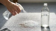 Por que é que as donas de casa experientes borrifam vinagre no tapete: 5 segredos que facilitam bastante o processo de limpeza