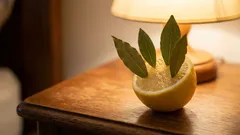  Coloca um limão com folhas de louro no teu quarto. Na manhã seguinte, vais agradecer a ti mesmo.