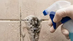 As juntas entre os azulejos da cozinha ficam livres de bolor num instante: memorize a composição desta solução simples