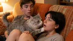 Como saber se mimou demais o seu gato: não repita estes erros!