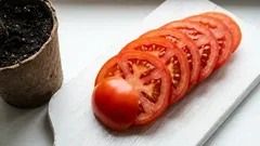 Basta um único tomate para a sua própria colheita: este truque engenhoso do supermercado vai ajudá-lo a conseguir isso na primavera