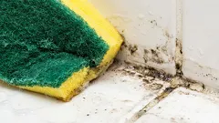  Esta bebida láctea remove instantaneamente as manchas de bolor.