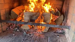 Que tipos de madeira não se devem queimar em casa: estas madeiras não produzem calor