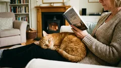 Esses 4 tipos de pessoas são reconhecidos pelos gatos como seus. Os demais são apenas funcionários de serviço.