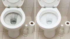 Rolo de papel higiénico e vinagre: uma forma simples de remover o calcário da sanita e devolvê-la ao seu aspeto original.