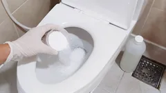 O vaso sanitário fica livre de resíduos e ferrugem sem esforço em 15 minutos: um método que não requer um profissional nem custos elevados