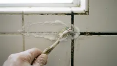 Os azulejos e as juntas da casa de banho ficarão como novos: uma forma rápida de eliminar a sujidade e o bolor