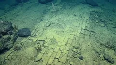 A «estrada de tijolos amarelos» das zonas de águas profundas do oceano suscita perplexidade — a explicação para este fenómeno dá, por um instante, a impressão de que o fundo do mar é algo totalmente novo.