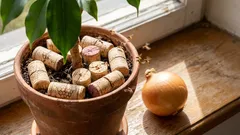 Consegui livrar-me das moscas nas cebolas e nas flores usando uma rolha de vinho comum (e recomendo que façam o mesmo – funciona!).