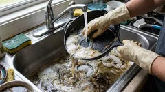 Lavar a louça à mão polui a água e o solo.