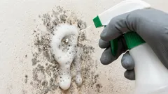 Como limpar rapidamente o bolor das paredes: revelamos quais os remédios caseiros que podem ajudar