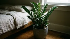 Plantas de chão para interiores: 7 escolhas de porte grande que surpreendem pela resistência